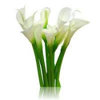 Photo du défunt